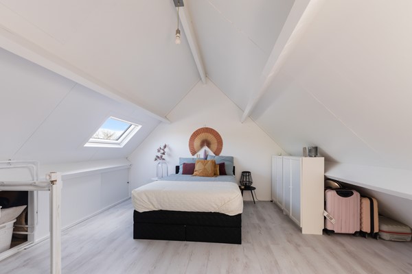 Scholekster 41_52.jpg